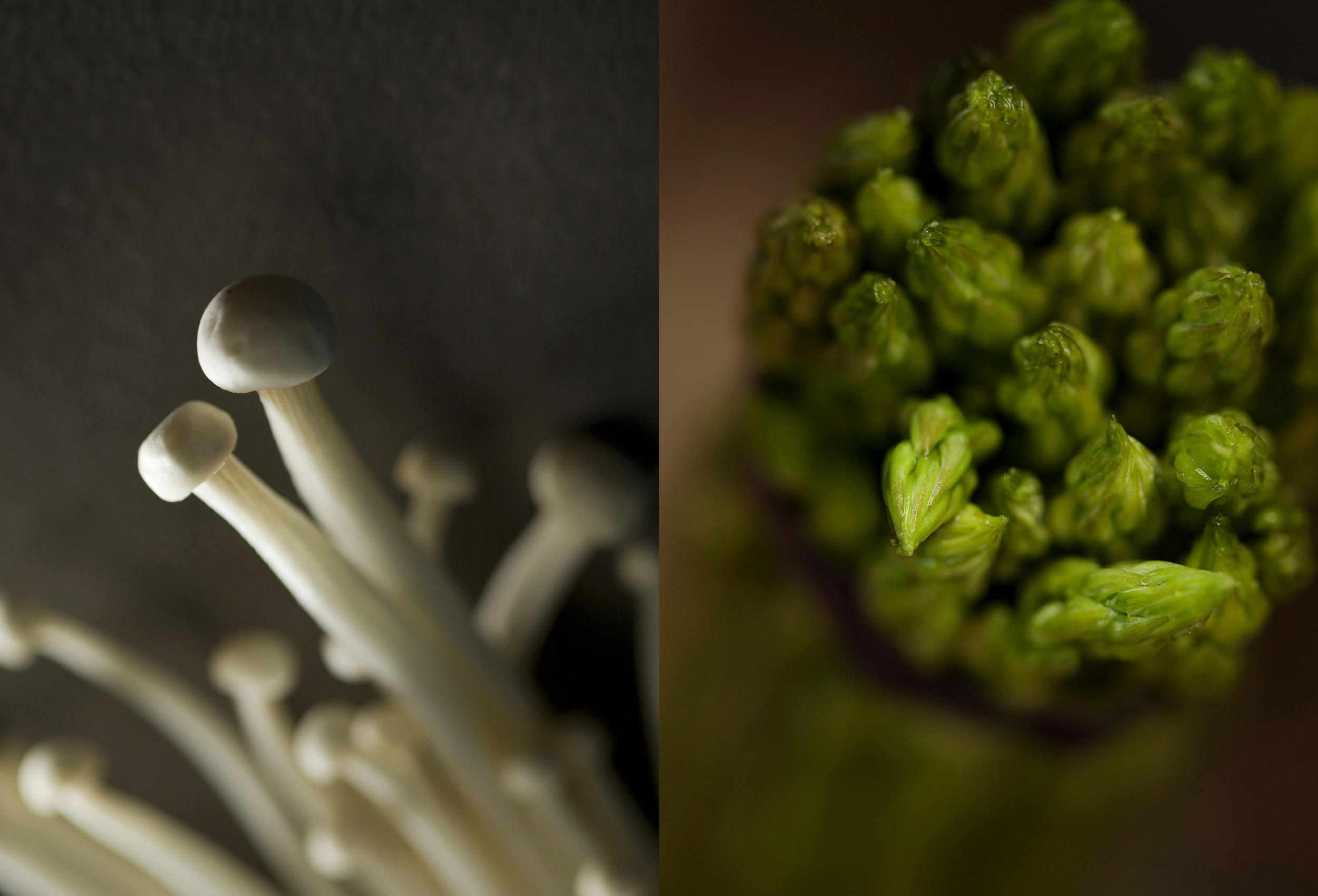 Moody shots of asparagus and enoki mushrooms. Paul Scott, food.